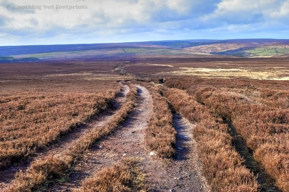 Heartbeat Hobble Fell Race 24022019 Billingham Marsh House